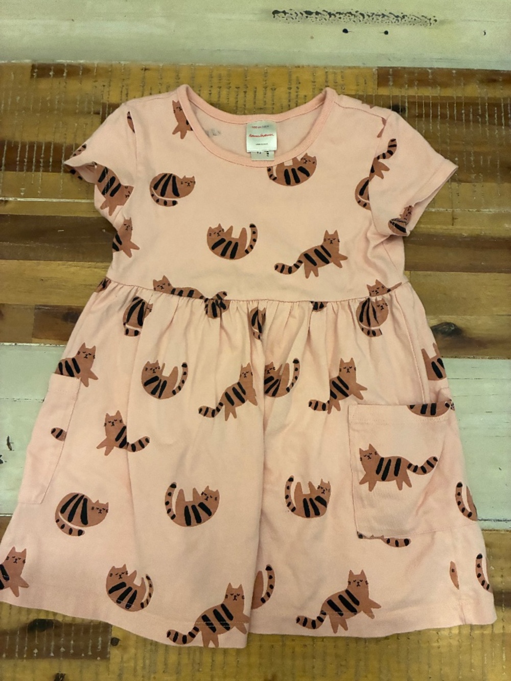 Hanna andersson cat dress with pockets